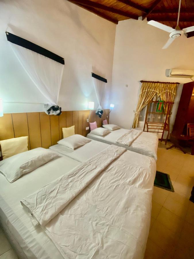 Hikka Paradise Guest House Hikkaduwa Exteriér fotografie